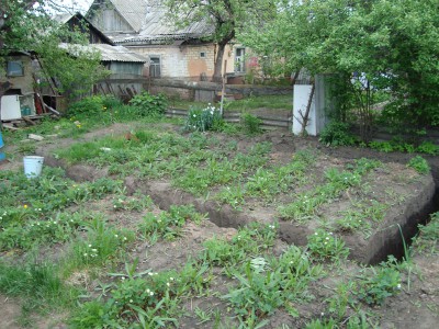 DSC01286.jpg